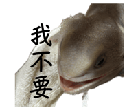 839800845