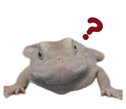 839800847