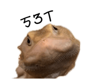 839800848