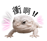 839800849