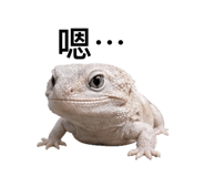 839800851