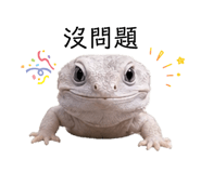 839800853