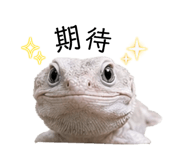 839800855