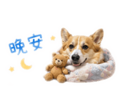 839805481