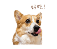 839805490