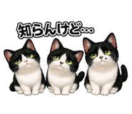 839806008