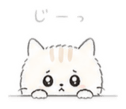 839807035