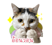 839807211