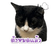 839807222