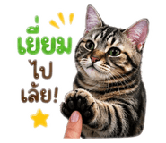 839808547