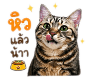 839808548
