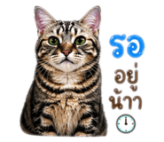 839808550