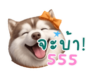 839810663