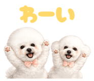 839811207