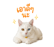 839811274