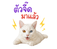839811305