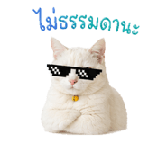 839811309
