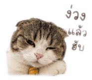 839811500