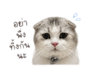 839811518