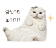 839811519