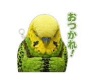 839813863