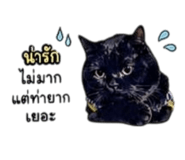 839814707