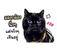 839814709