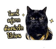 839814716