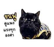 839814739