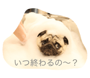 839815094