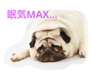 839815097