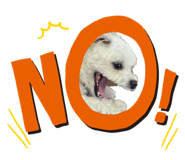 839815315