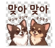839816306