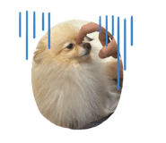 839816511