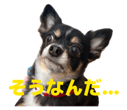 839816513