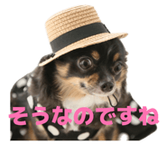 839816515