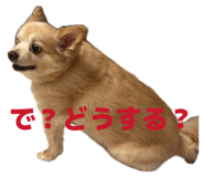 839816516