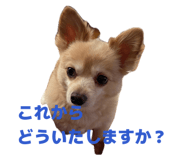839816517