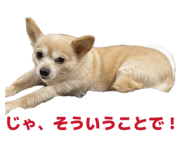 839816519