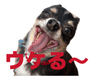 839816520
