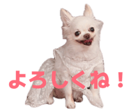 839816523