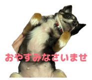 839816524