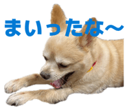 839816526