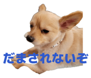839816527