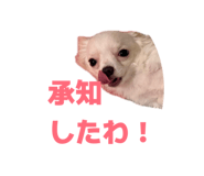839816528