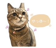 839816697