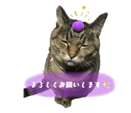839816702