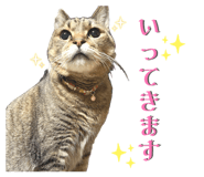839816706