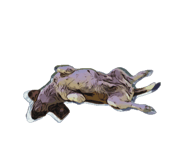 839817543