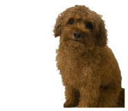 839818122